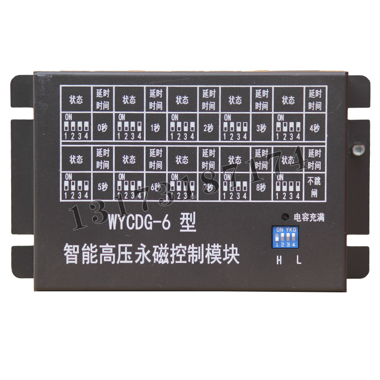 WYCDG-6型智能高壓永磁控制模塊|中國電光防爆科技股份有限公司