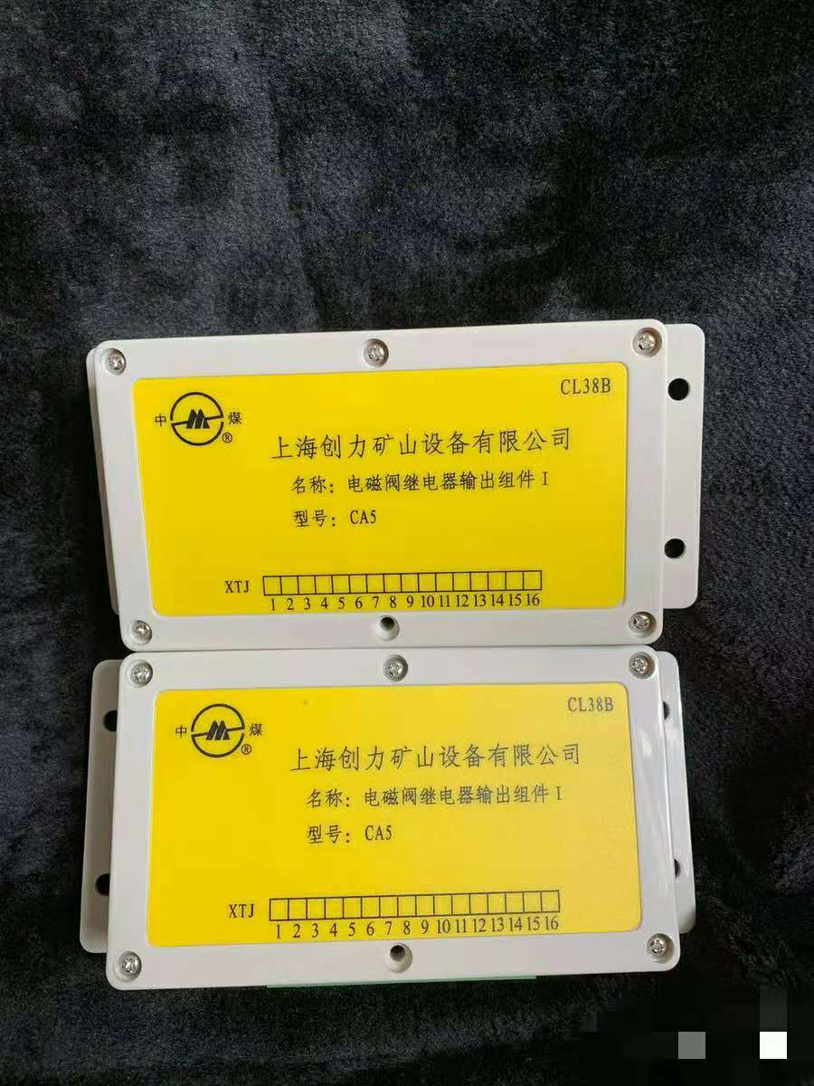 CA5電磁閥繼電器輸出組件I|上海創(chuàng)力集團(tuán)股份有限公司